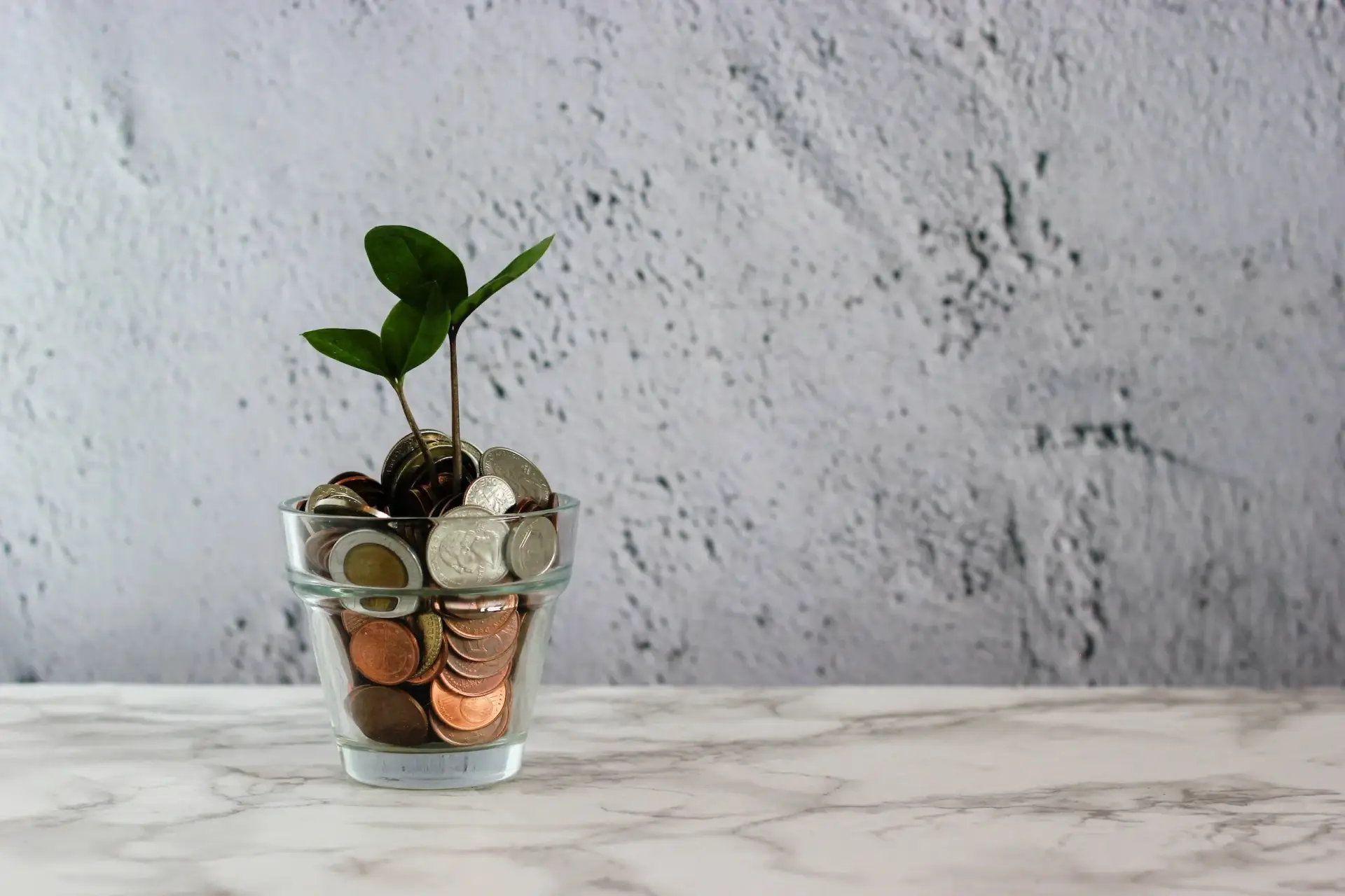 Small plant growing from a glass of coins
